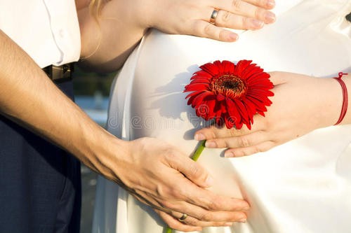 女职工三期工资待遇及法律适用问题